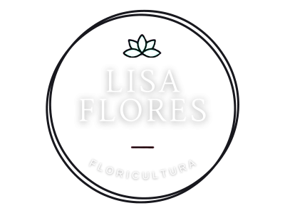 logo refeito transparente